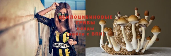 молекула духа Абинск