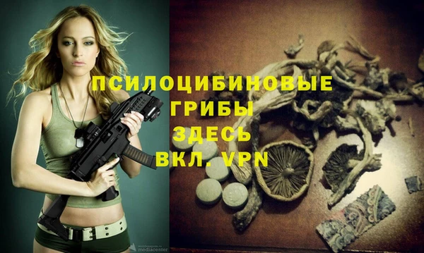 молекула духа Абинск