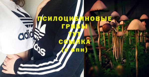 не бодяженный Абдулино