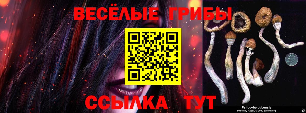 Магнитогорск  Псилоцибиновые грибы GOLDEN TEACHER  продажа наркотиков  Вход с VPN 
